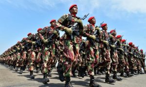 Foto TNI/Sumber foto: Pegipegi.com