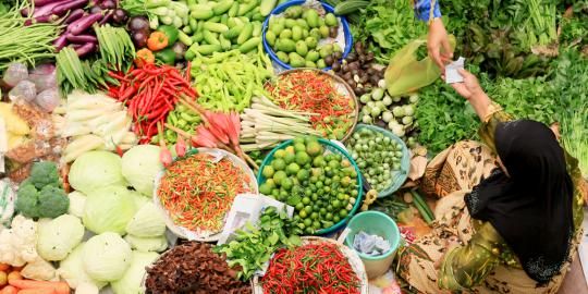 Foto Illuatrasi ketahanan pangan Foto : Net