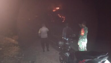 TNI-Polri di Pagimana Tinjau Lokasi Karhutla di Desa Toipan